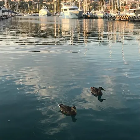 Floating Sea House Marea Portoroz