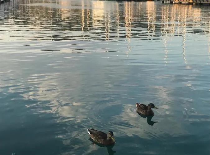 Floating Sea House Marea Portoroz